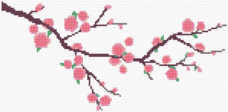 Sakura Blossom