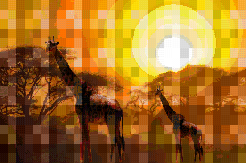 Safari Sunset