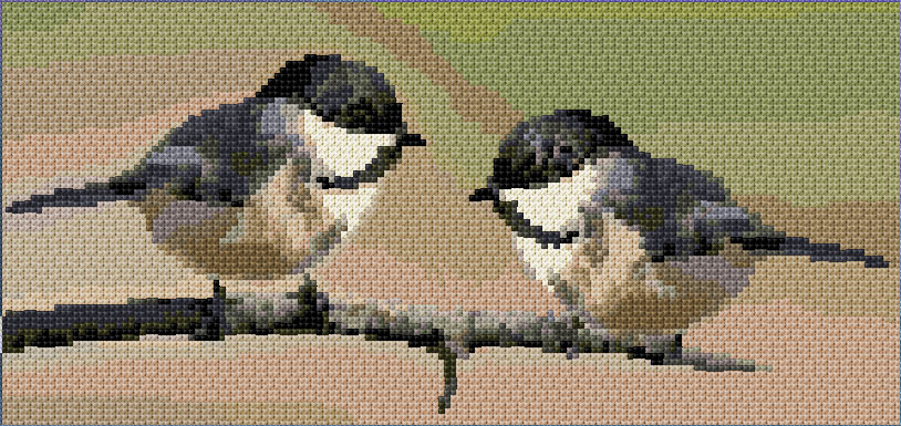 Black-capped Chickadee
