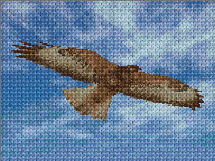 Hawk Flying