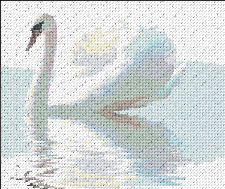 Swan