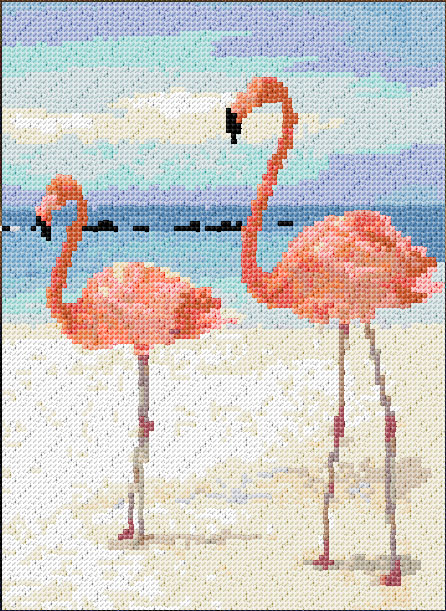 Flamingos