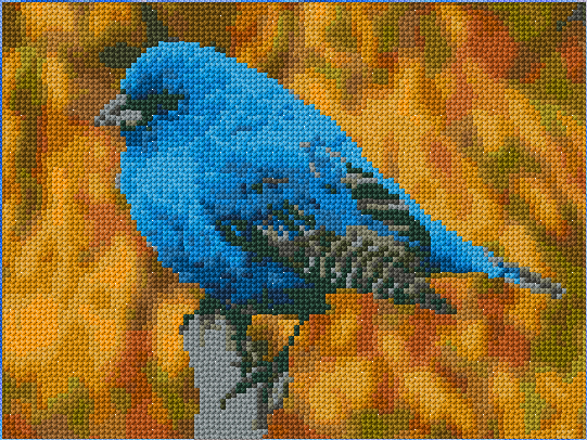 Indigo Bunting