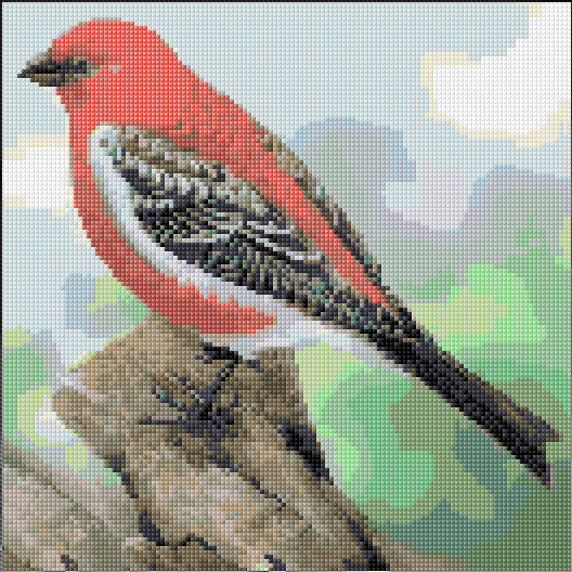 Pine Grosbeak