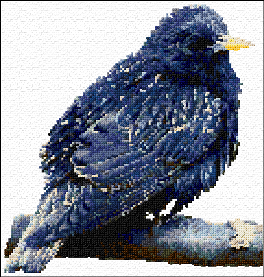 Starling