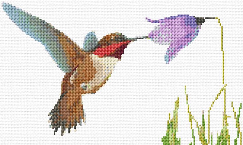 Hummingbird