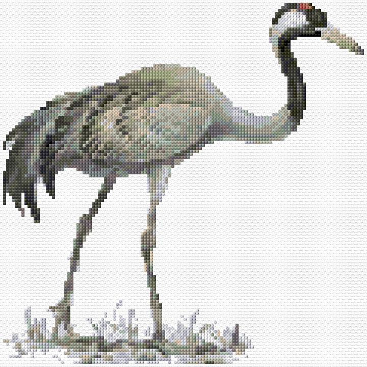 Crane