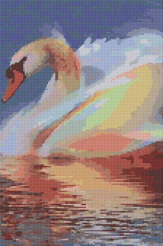 Swan