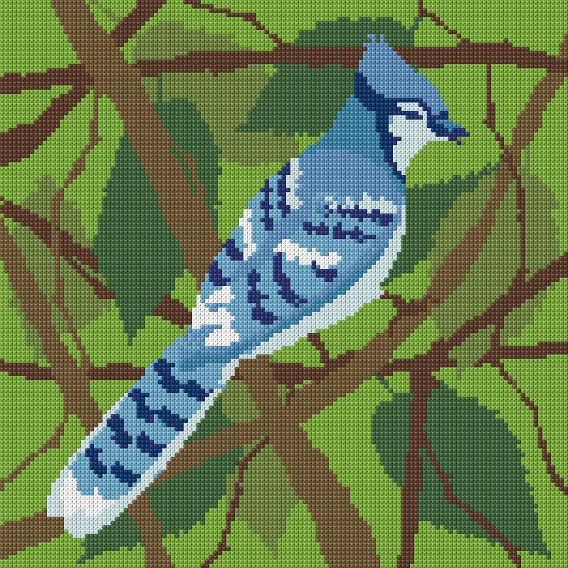 American Blue Jay