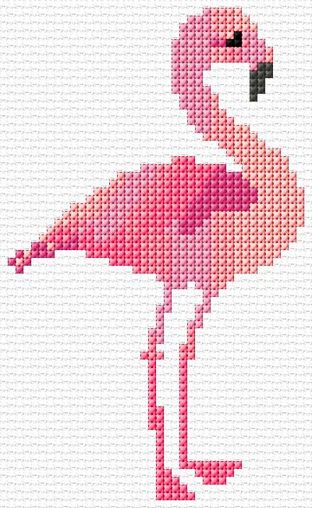 Flamingo