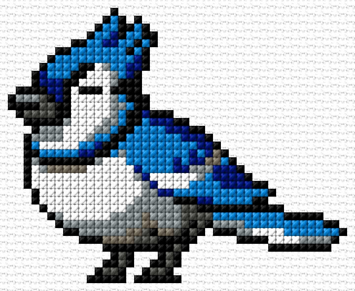 Blue Jay