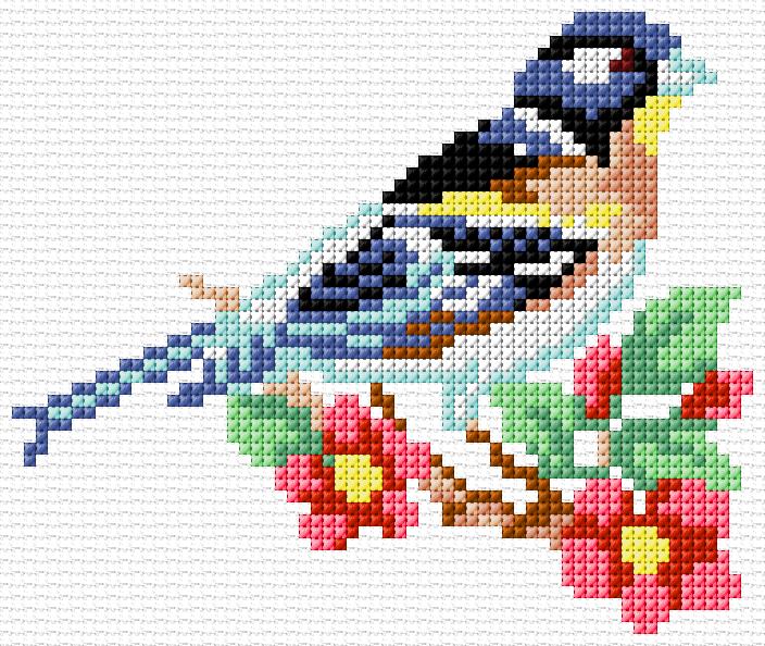 Bird