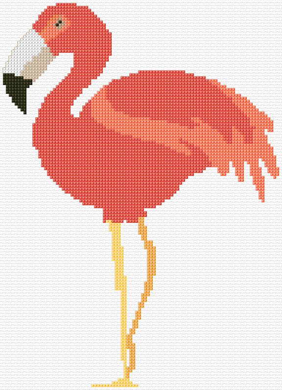 Flamingo