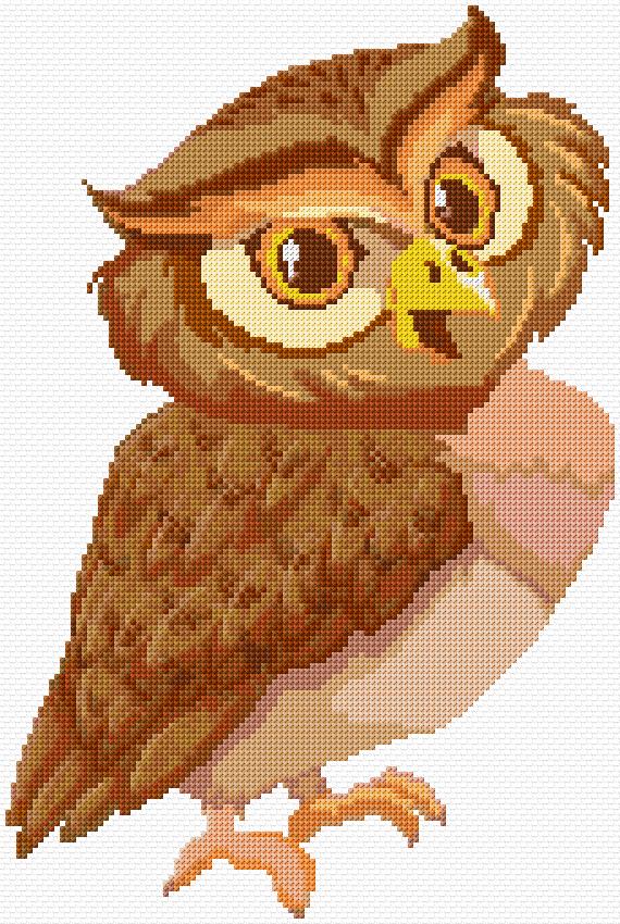 Owl