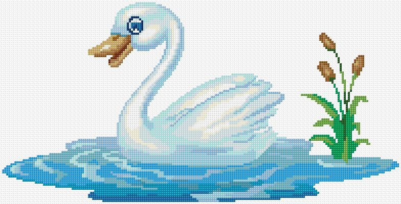 Swan