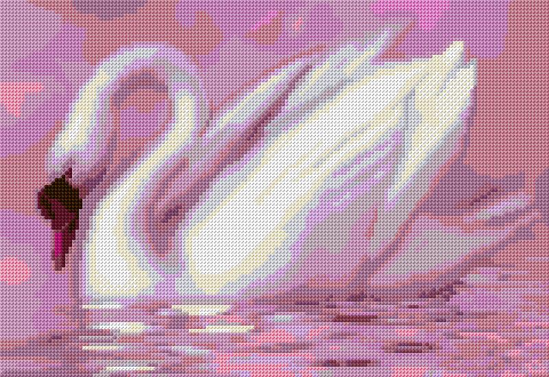 Swan