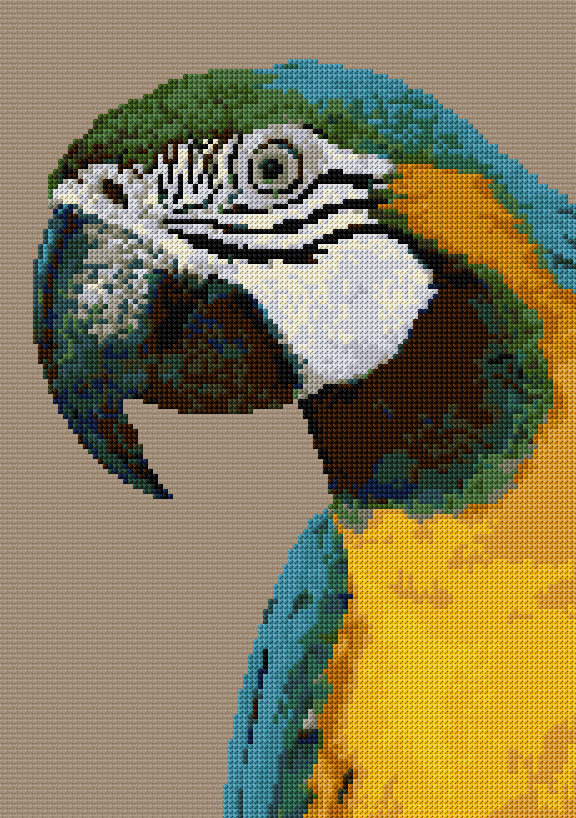 Parrot