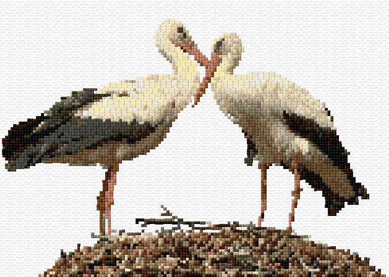 Storks