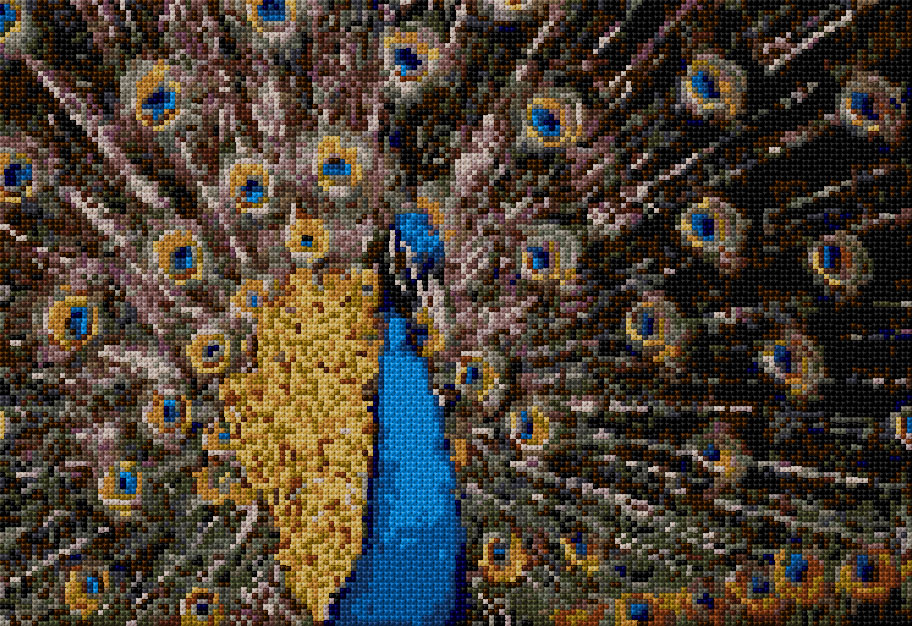 Peacock