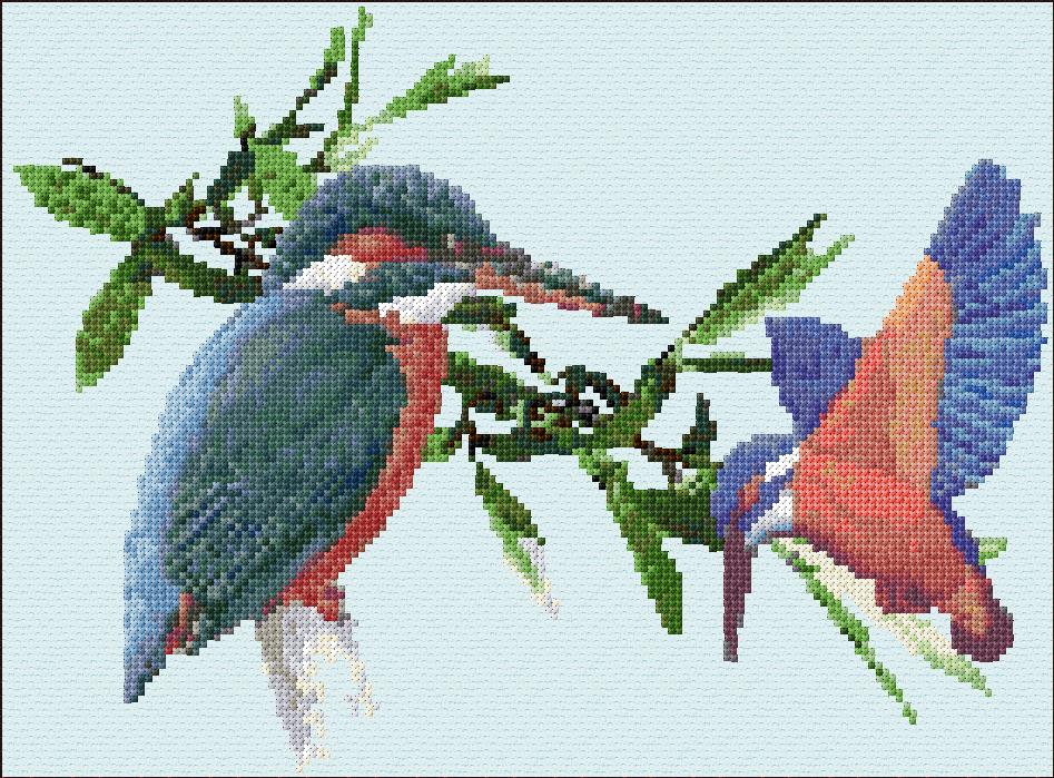 Kingfishers