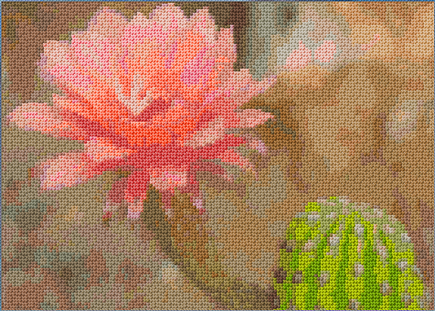 Cactus