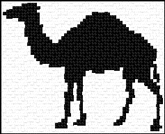 Camel