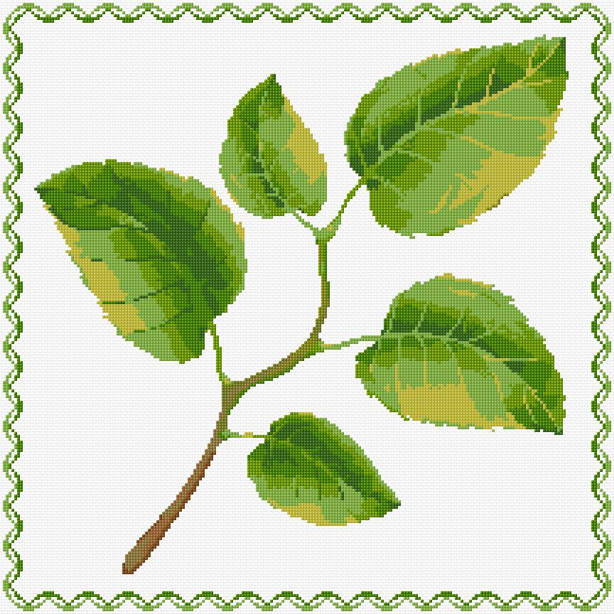 Leaves